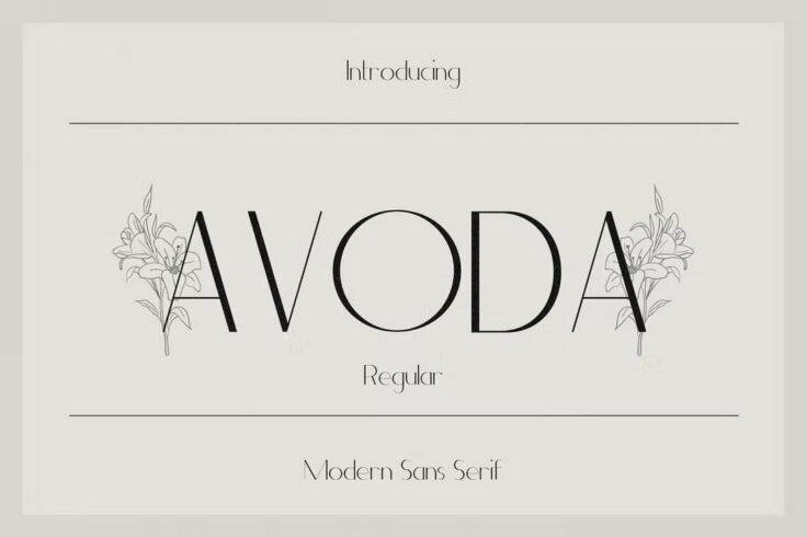 View Information about Avoda Modern Clean Font