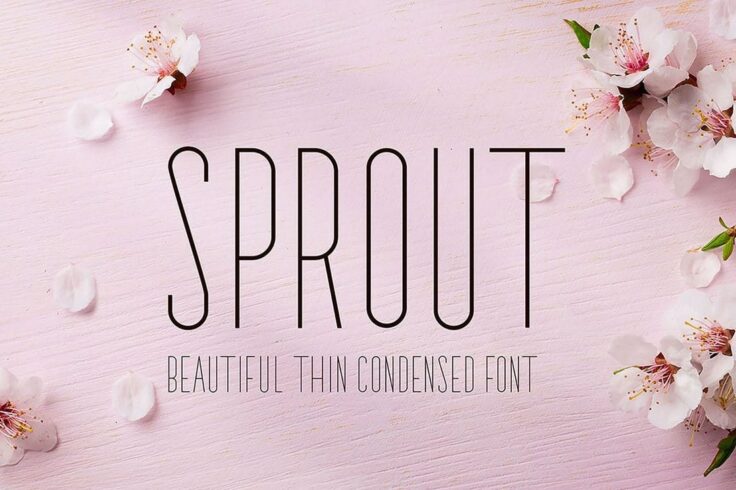 View Information about Sprout Narrow Sans Serif Font